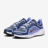 Nike Womens Pegasus 41 GORE-TEX