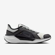 Nike Pegasus 41 GORE-TEX