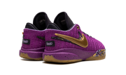 LeBron 20 GS "Young Heirs" FD0207 500