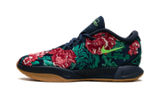LeBron 21 "Grandma's Couch" FV7276 400
