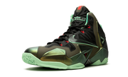 Lebron 11 "King's Pride" 616175 700