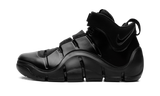 LeBron 4 "Anthracite" FJ1597 001