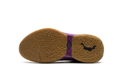 LeBron 20 GS "Young Heirs" FD0207 500