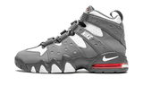 Air Max CB '94 "Cool Grey" DM8319 001