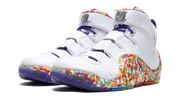LeBron 4 "Fruity Pebbles" DQ9310 100